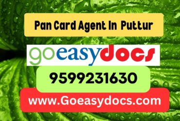 Pan Card Agent Consultant in Puttur 8851415812