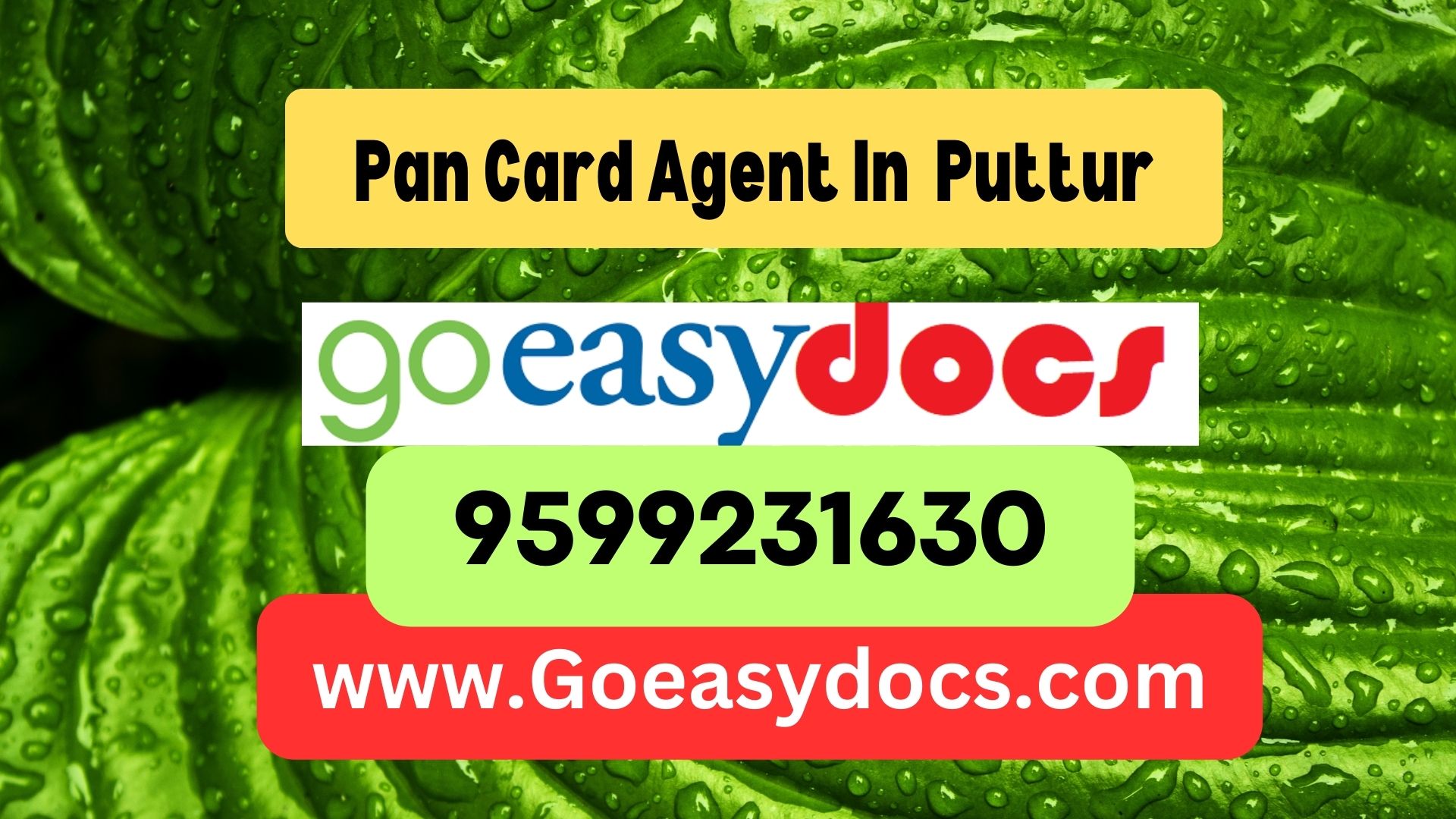 Pan Card Agent Consultant in Puttur 8851415812