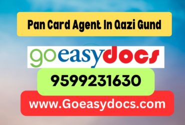 Pan Card Agent Consultant in Qazi Gund 8851415812