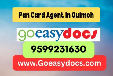 Pan Card Agent Consultant in Quimoh 8851415812