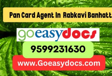 Pan Card Agent Consultant in Rabkavi Banhatti 8851415812