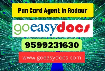 Pan Card Agent Consultant in Radaur 8851415812