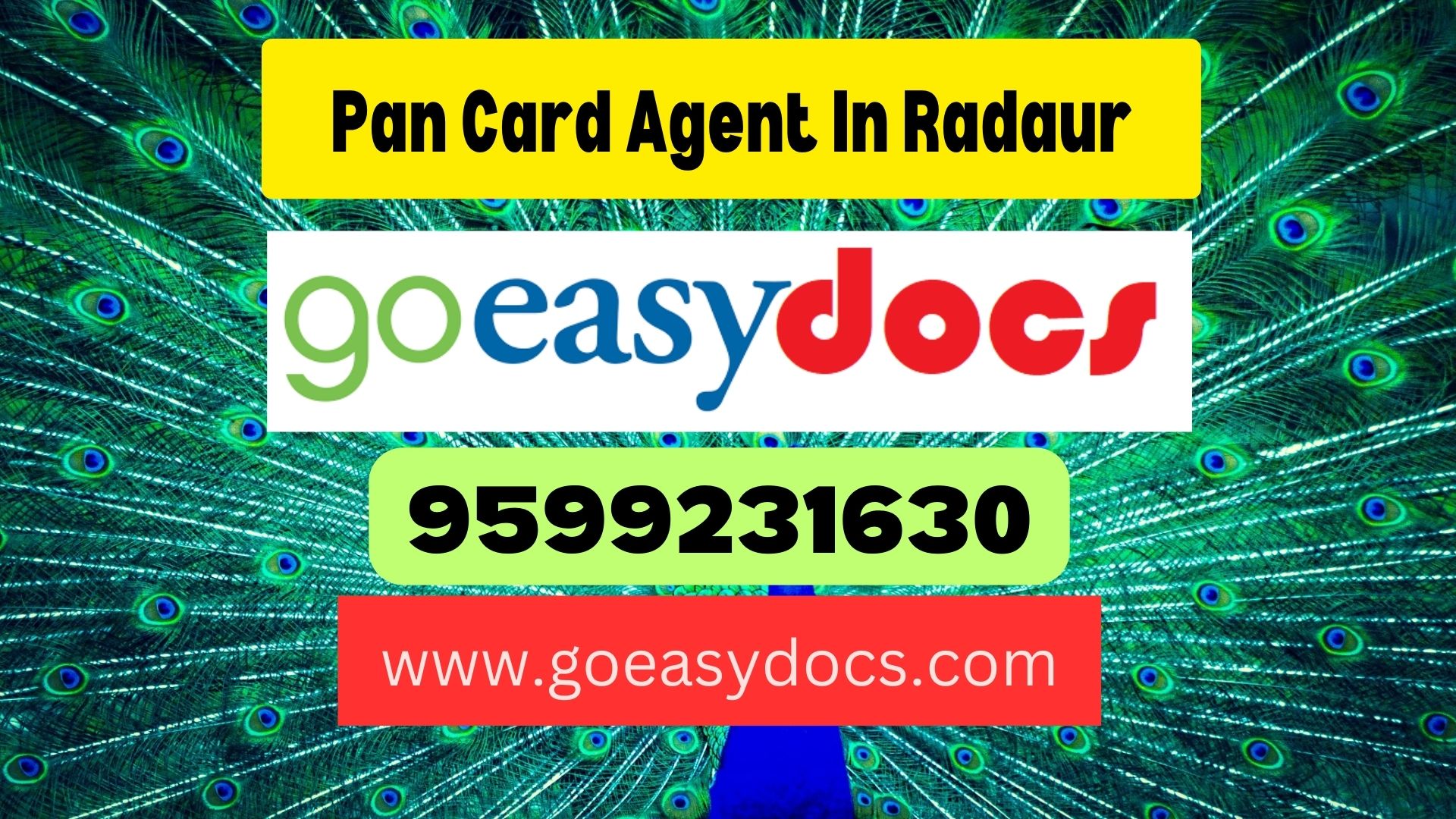 Pan Card Agent Consultant in Radaur 8851415812