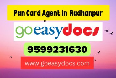 Pan Card Agent Consultant in Radhanpur 8851415812