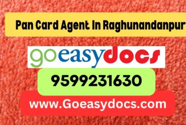 Pan Card Agent Consultant in Raghunandanpur 8851415812