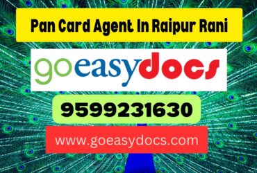 Pan Card Agent Consultant in Raipur Rani 8851415812