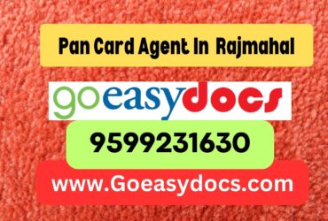 Pan Card Agent Consultant in Rajmahal 8851415812