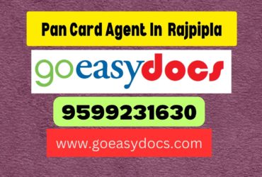 Pan Card Agent Consultant in Rajpipla 8851415812