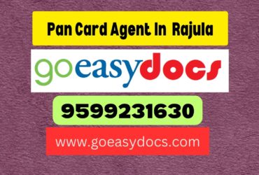 Pan Card Agent Consultant in Rajula  8851415812