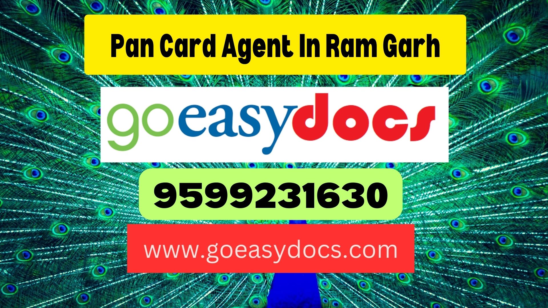 Pan Card Agent Consultant in Ram Garh 8851415812