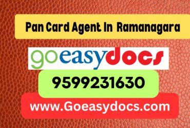 Pan Card Agent Consultant in Ramanagara 8851415812