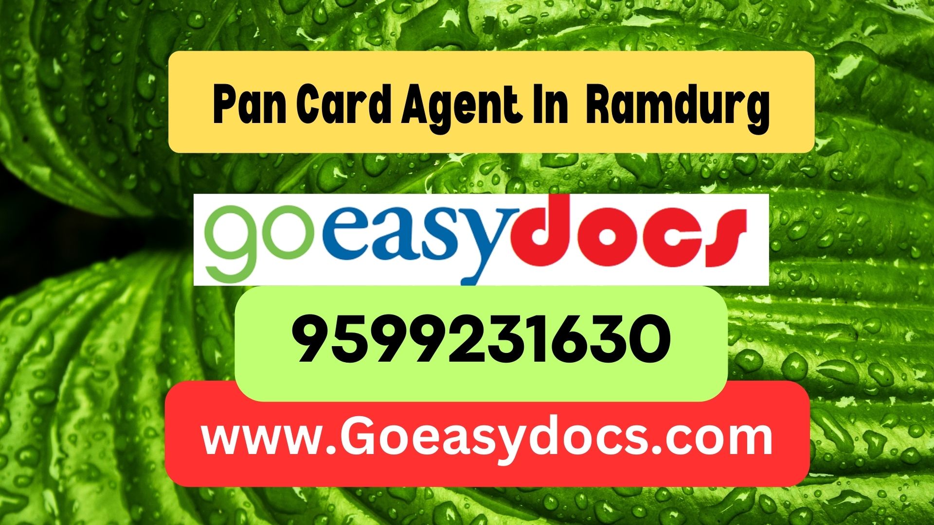 Pan Card Agent Consultant in Ramdurg 8851415812