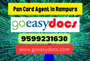 Pan Card Agent Consultant in Rampura 8851415812