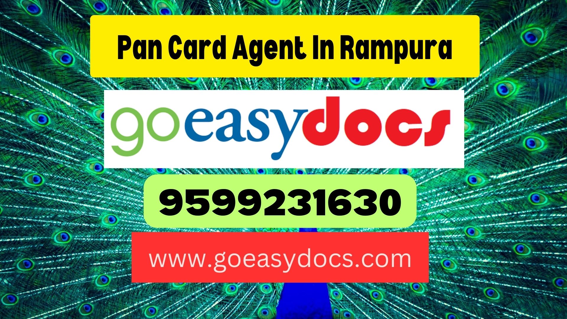 Pan Card Agent Consultant in Rampura 8851415812