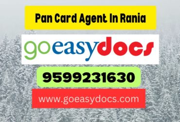 Pan Card Agent Consultant in Rania 8851415812