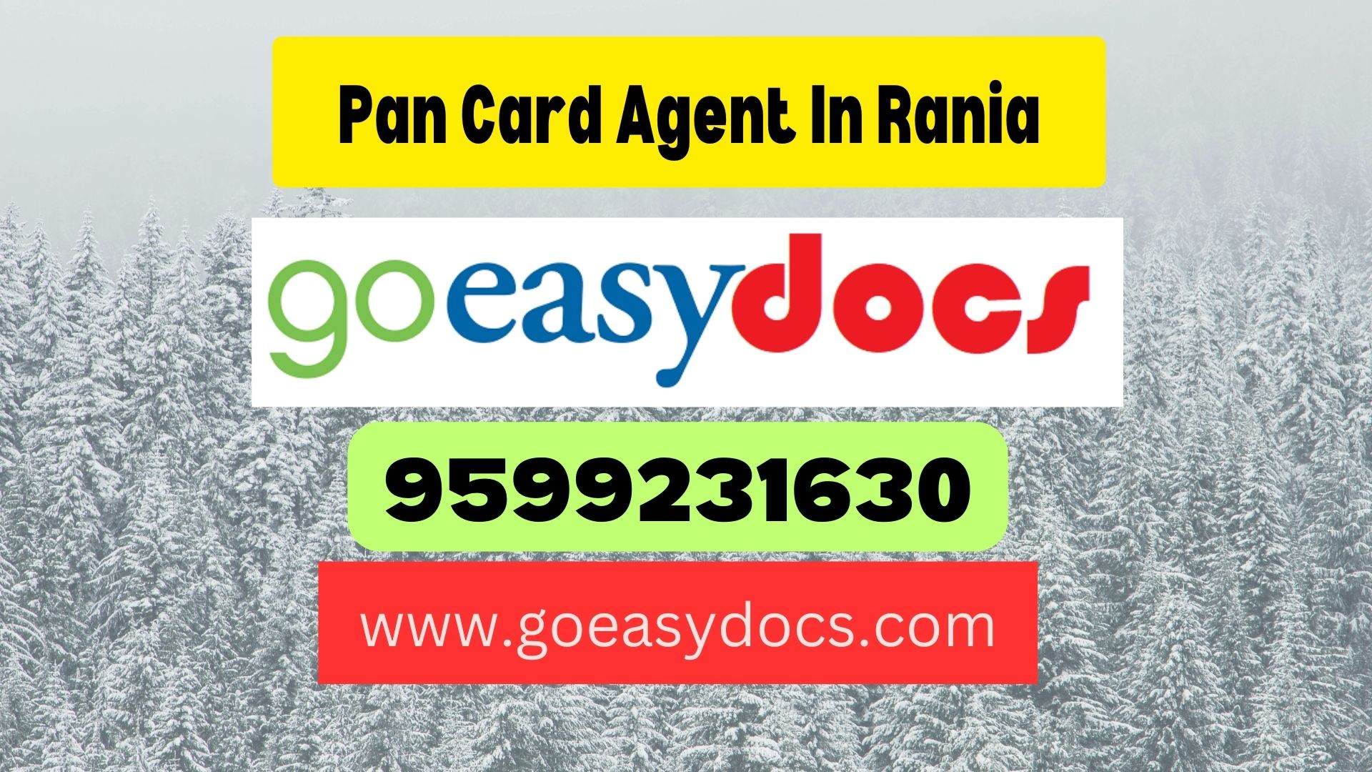 Pan Card Agent Consultant in Rania 8851415812