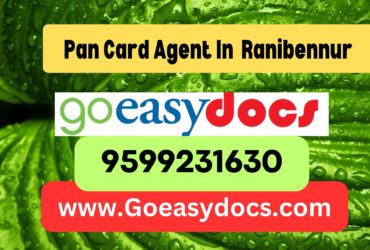 Pan Card Agent Consultant in Ranibennur  8851415812