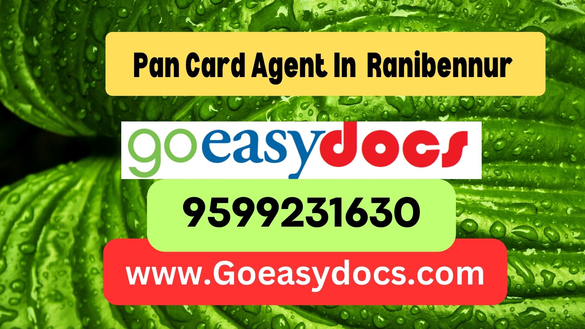 Pan Card Agent Consultant in Ranibennur  8851415812