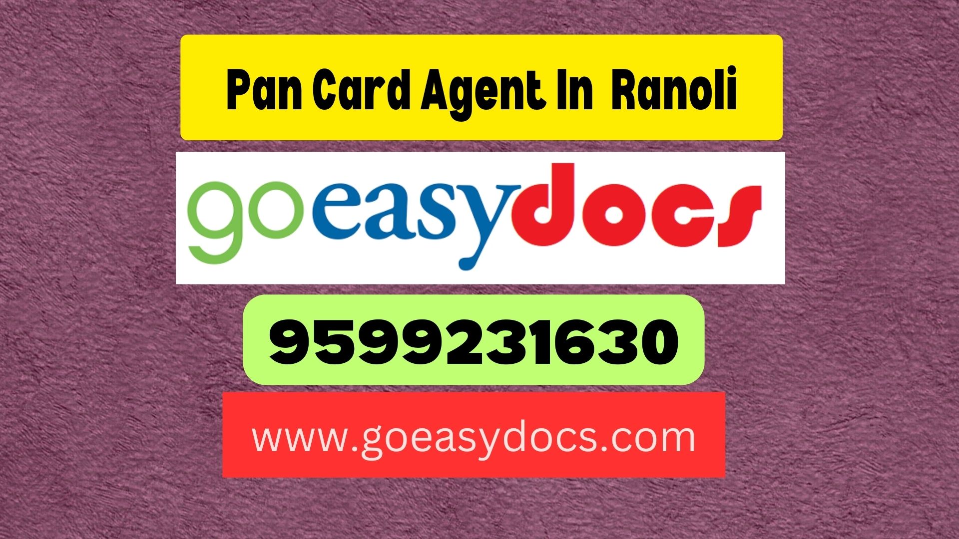 Pan Card Agent Consultant in Ranoli 8851415812