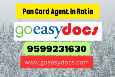 Pan Card Agent Consultant in Ratia 8851415812