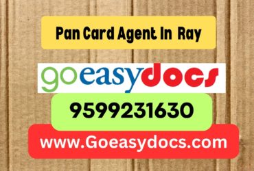 Pan Card Agent Consultant in Ray 8851415812