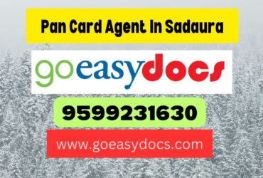 Pan Card Agent Consultant in Sadaura 8851415812