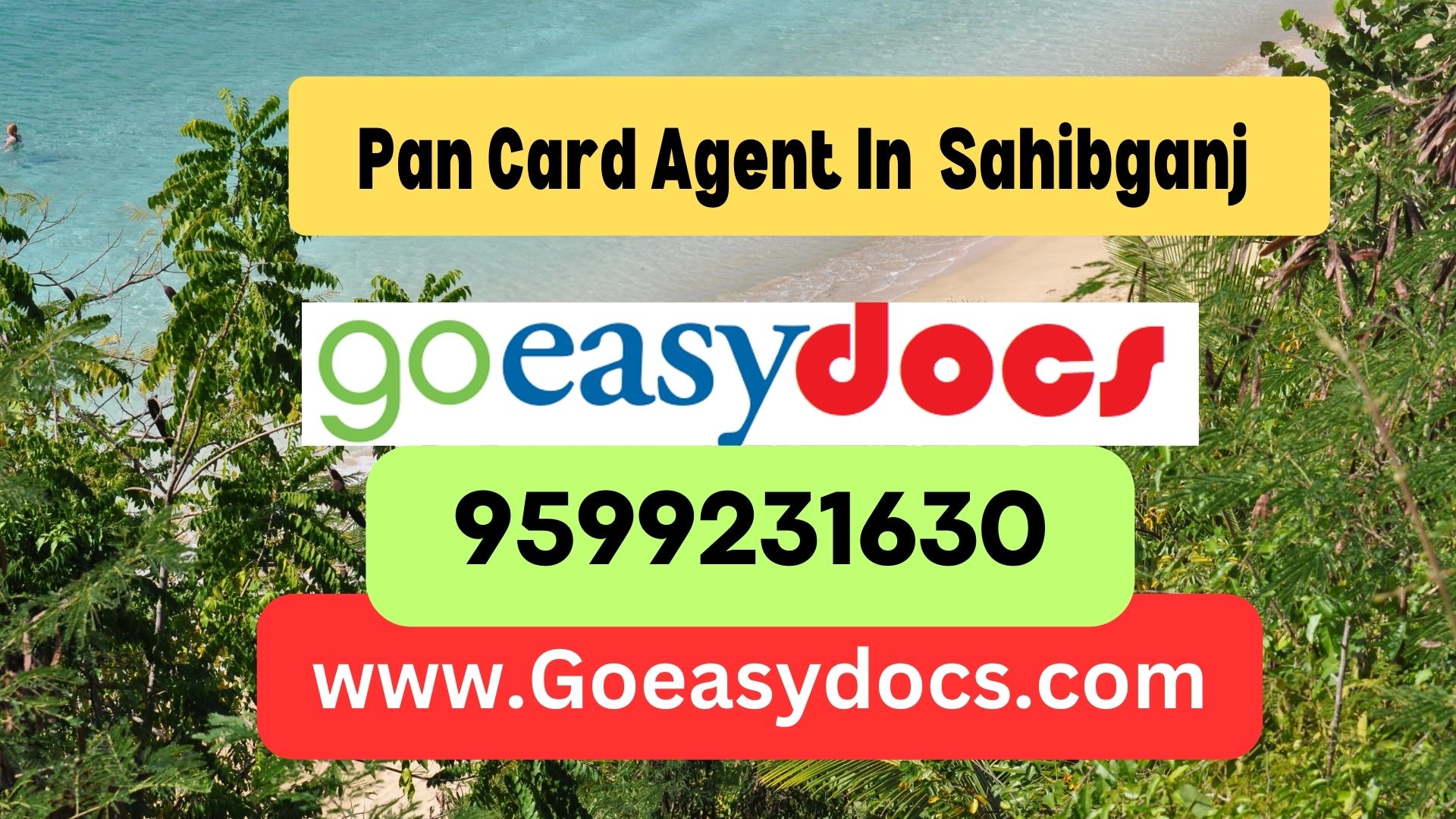 Pan Card Agent Consultant in Sahibganj  8851415812