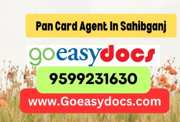 Pan Card Agent Consultant in Sahibganj 8851415812