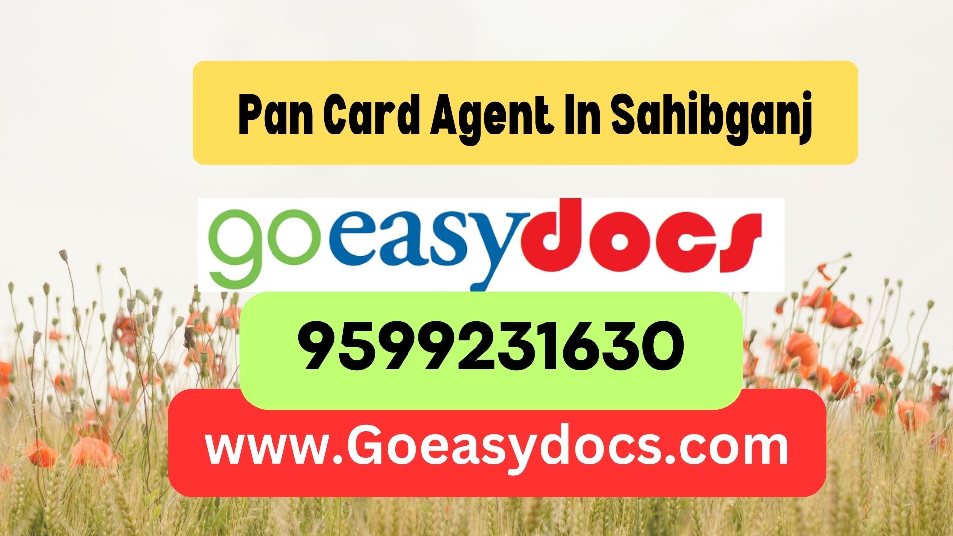 Pan Card Agent Consultant in Sahibganj 8851415812