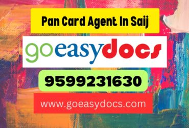 Pan Card Agent Consultant in Saij 8851415812