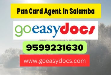 Pan Card Agent Consultant in Salamba 8851415812