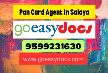 Pan Card Agent Consultant in Salaya 8851415812