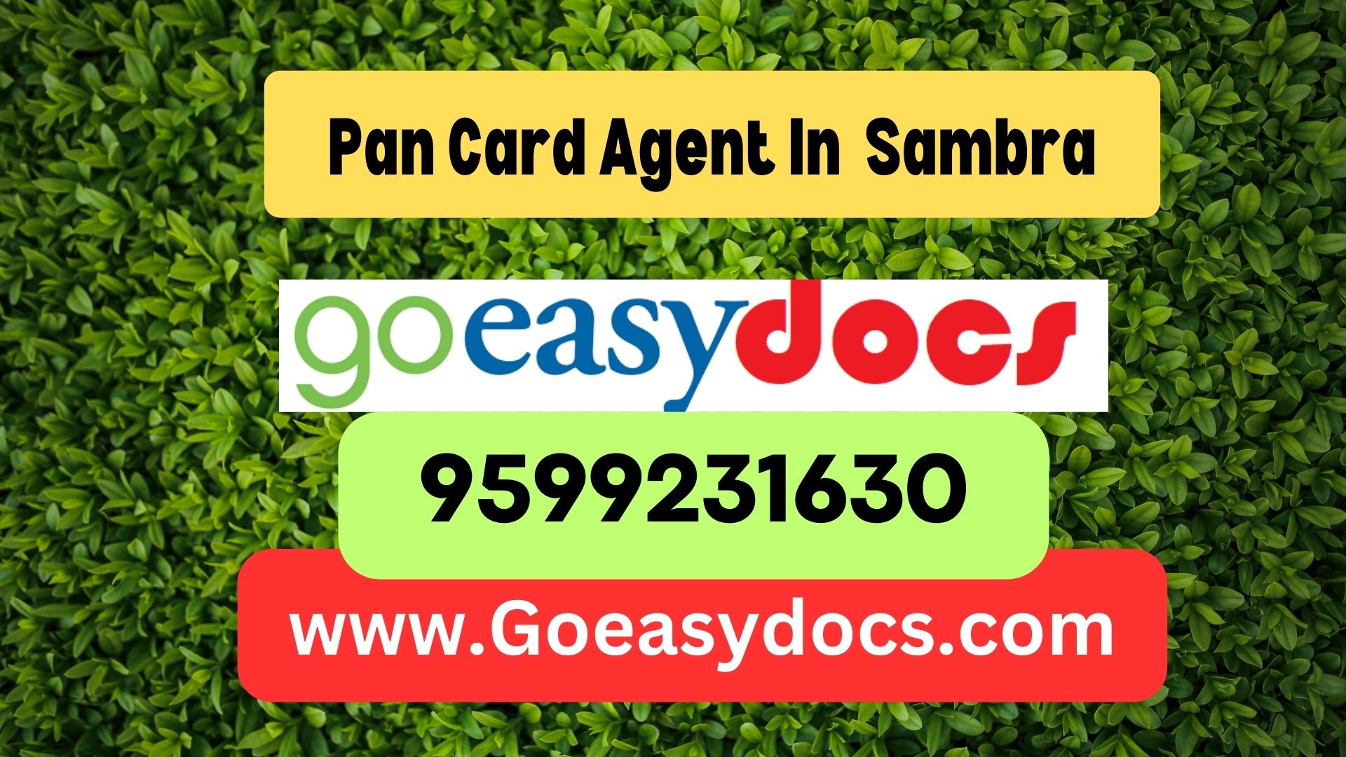 Pan Card Agent Consultant in Sambra 8851415812