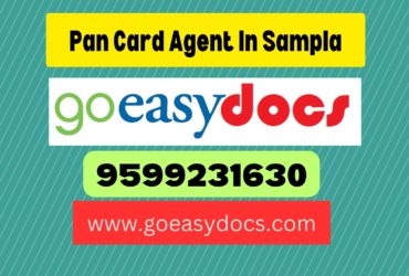 Pan Card Agent Consultant in Sampla 8851415812