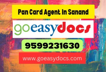 Pan Card Agent Consultant in Sanand 8851415812