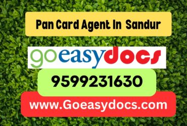 Pan Card Agent Consultant in Sandur 8851415812