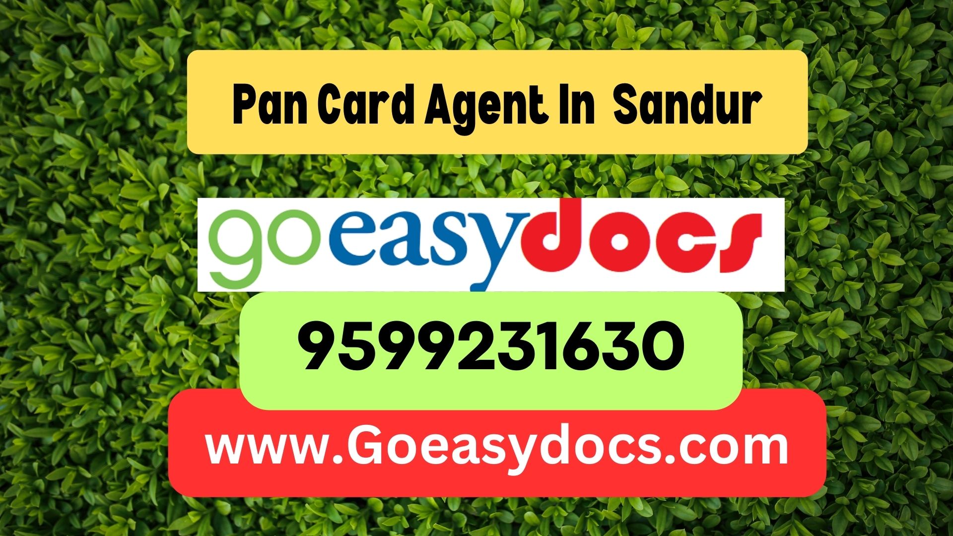 Pan Card Agent Consultant in Sandur 8851415812