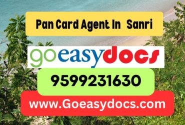 Pan Card Agent Consultant in Sanri  8851415812