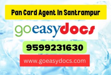 Pan Card Agent Consultant in Santrampur 8851415812