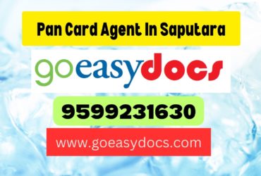 Pan Card Agent Consultant in Saputara 8851415812