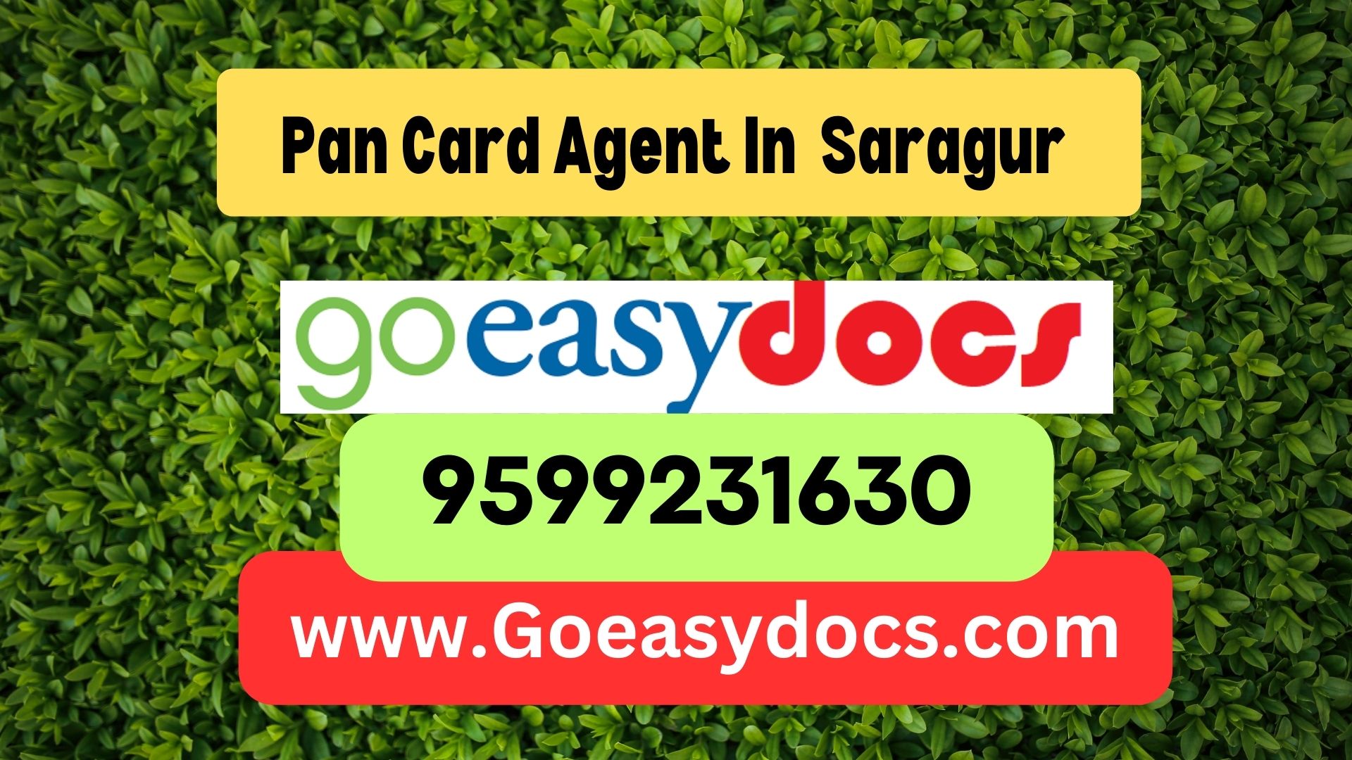 h1>Pan Card Agent Consultant in Saragur  8851415812