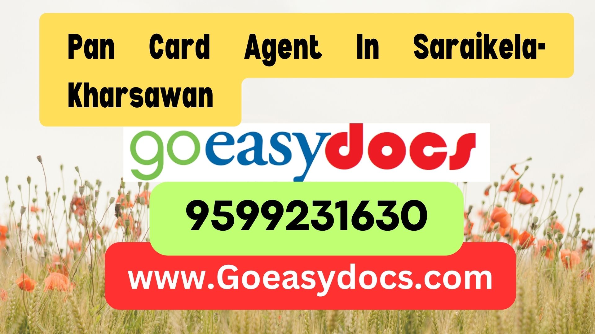 Pan Card Agent Consultant in Saraikela-Kharsawan 8851415812