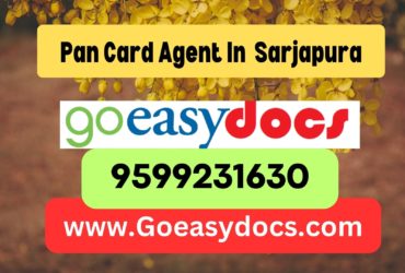 Pan Card Agent Consultant in Sarjapura 8851415812