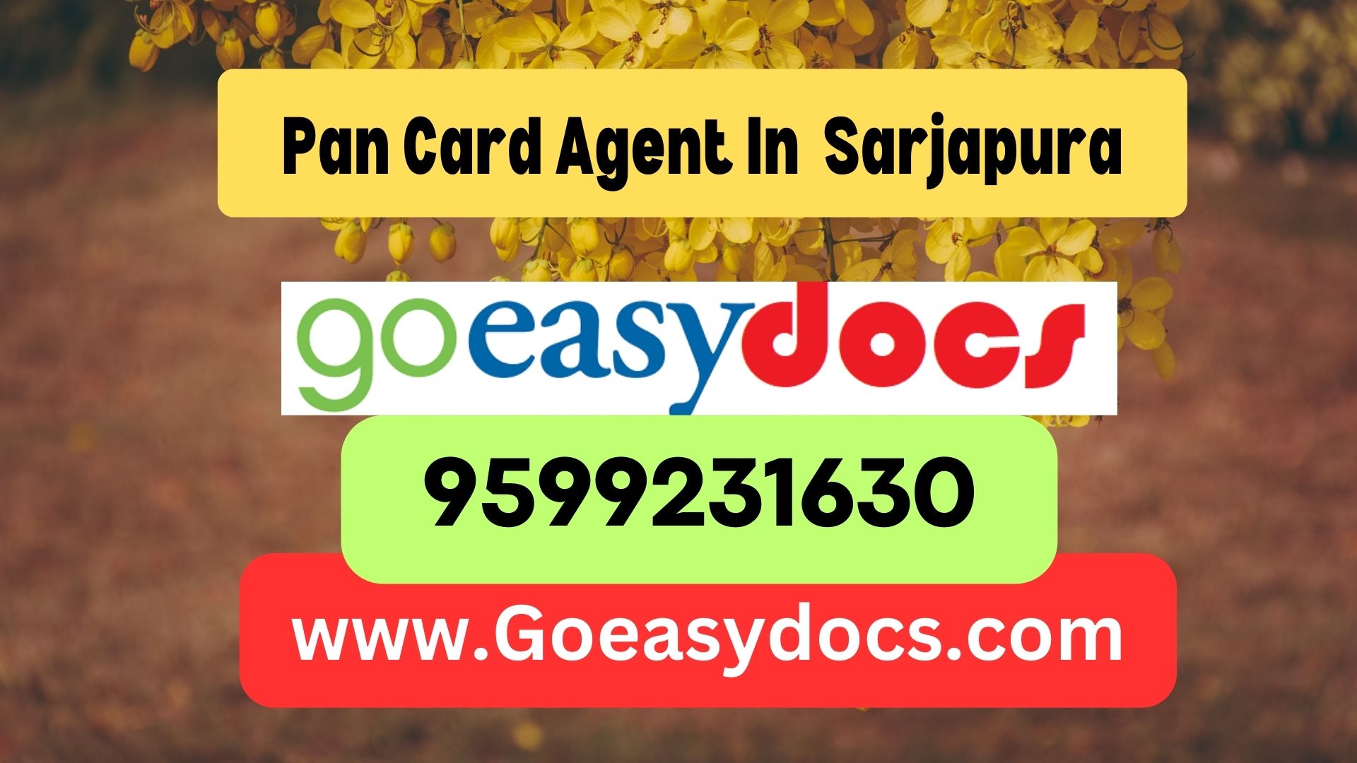 Pan Card Agent Consultant in Sarjapura 8851415812