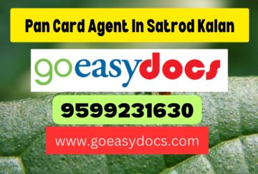 Pan Card Agent Consultant in Satrod Kalan 8851415812