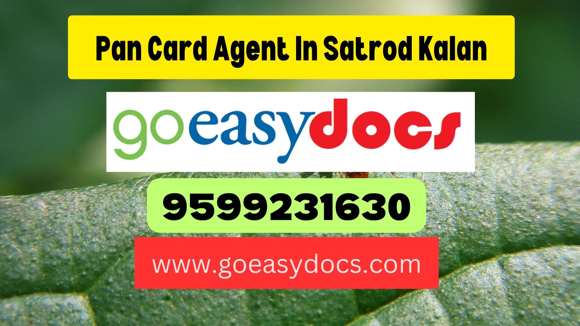 Pan Card Agent Consultant in Satrod Kalan 8851415812