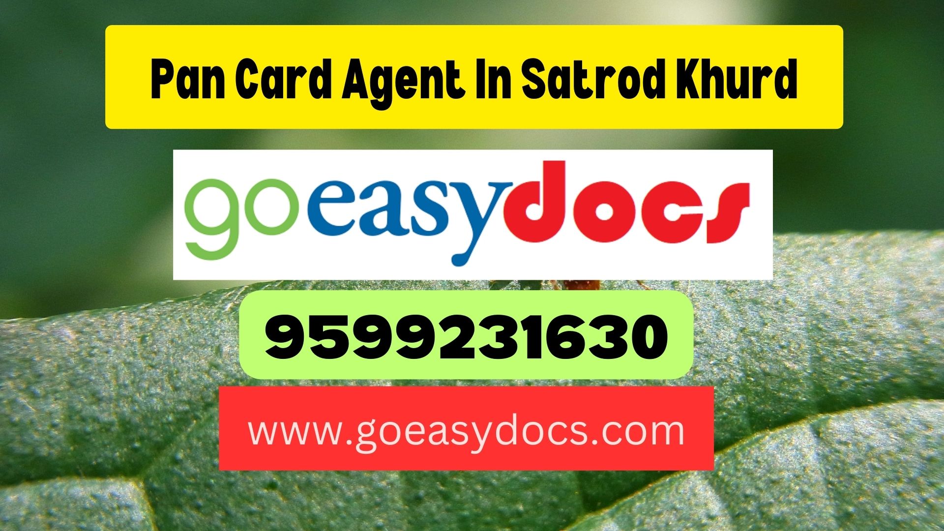 Pan Card Agent Consultant in Satrod Khas 8851415812