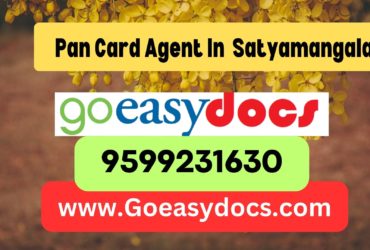 Pan Card Agent Consultant in Satyamangala 8851415812