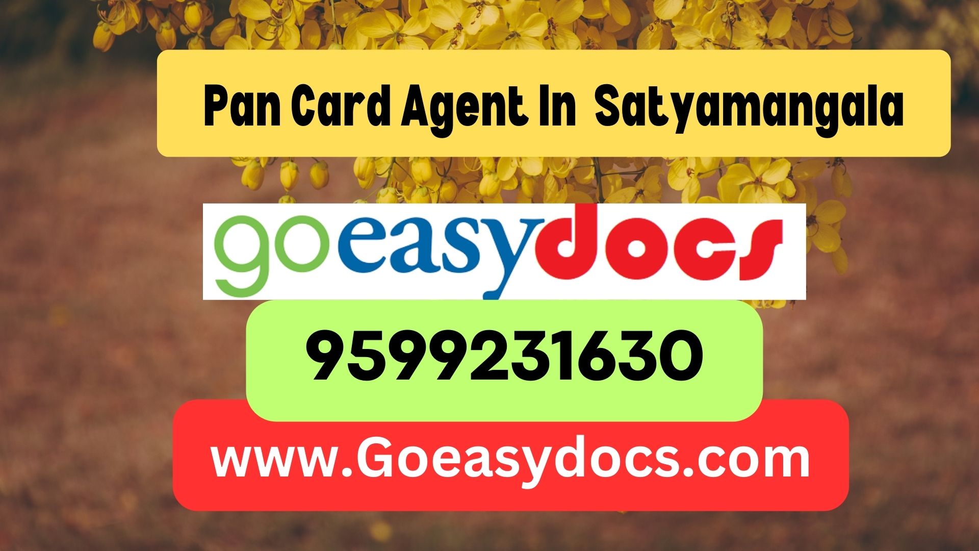 Pan Card Agent Consultant in Satyamangala 8851415812