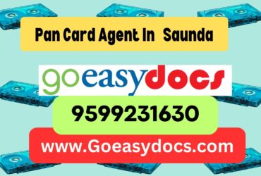 Pan Card Agent Consultant in Saunda 8851415812